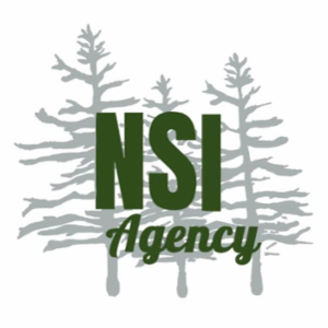 NSI Agency, LLC