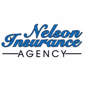Nelson Insurance Agency's logo