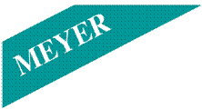 Meyer Insurance Services's logo