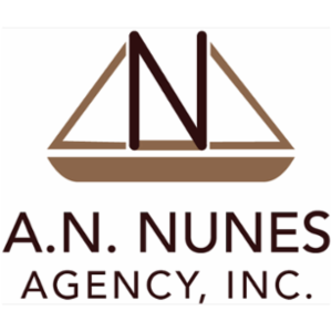 A N Nunes Agency, Inc.'s logo