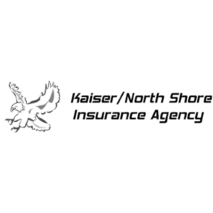 Paul W. Kaiser & Associates, Inc.'s logo