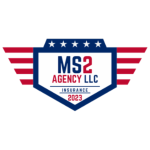 MS2 Agency LLC:  Michael Scott