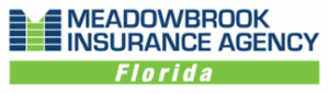 Meadowbrook, Inc. dba Meadowbrook Insurance's logo
