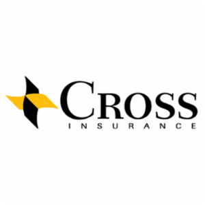 CFL Insurance Agency LLC dba A Advantage Insurance Agency's logo