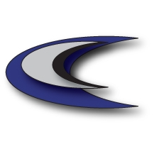 Bingham Insurance Services's logo