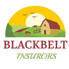 Blackbelt Insurors, Inc.'s logo
