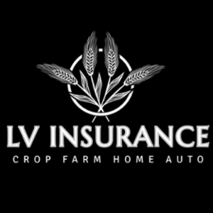 LV Insurance Agency LLC's logo