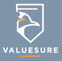 ValueSure Agency Inc.'s logo