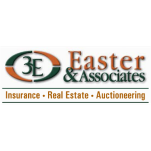 Easter & Associates, Inc.- Syracuse's logo