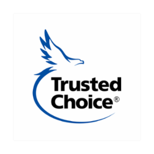 Ed's Insurance DBA A&E Insurance's logo