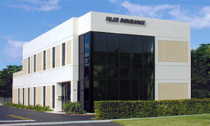 Filer Insurance Inc's logo