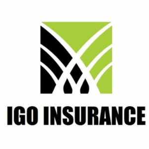 IGO Insurance Agency, Inc.