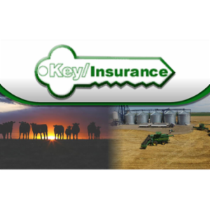 Bridgemark Insurance Solutions, Inc. dba Key Insurance's logo