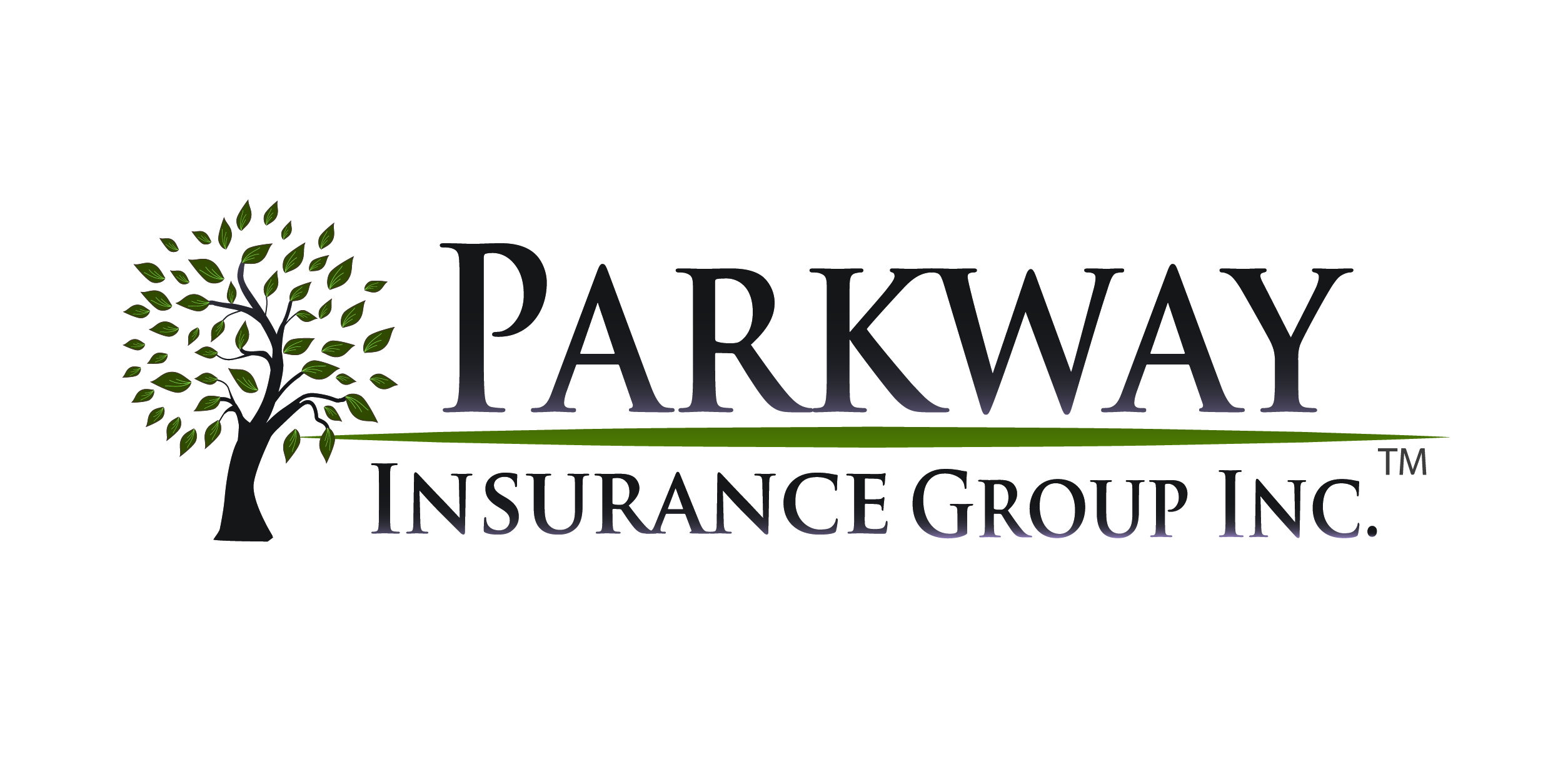 Parkway Insurance Group, Inc's logo