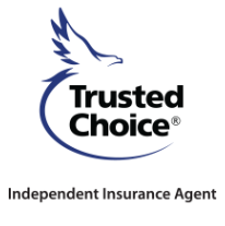 Advantage Insurance Group's logo