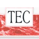 TEC Insurance