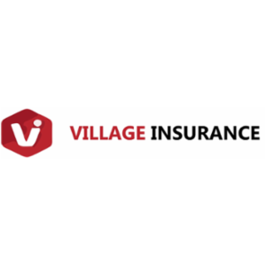 Village Insurance Agency Inc.'s logo