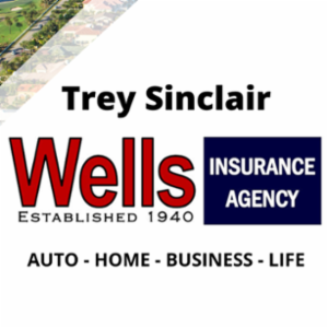 Wells Insurance Agency, Inc.'s logo