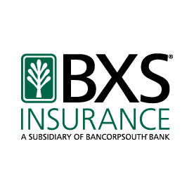 BXS Insurance's logo