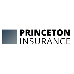 Princeton Insurance's logo