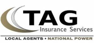 TAG/The Ahbe Group, Inc.'s logo
