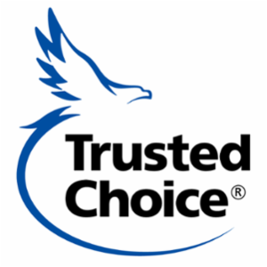 Thunderbird Insurance Agency's logo