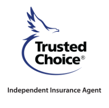 TruView Insurance Group, Inc.