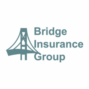 Bridge Insurance Group LLC's logo