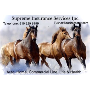 Supreme Insurance Services Inc.'s logo