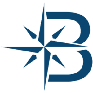 Biscayne Risk Group Inc's logo