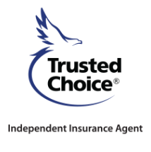 Insurance Group of Florida, Inc.'s logo