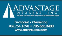 Advantage Insurers Inc's logo