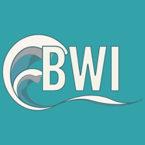Breakwater Insurance LLC's logo