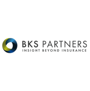 Baldwin Risk Partners, LLC's logo