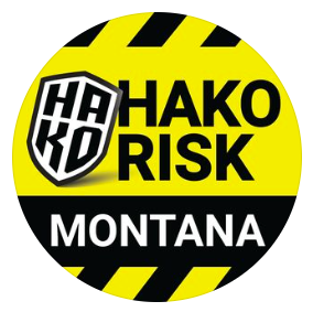 Hako Risk & Insurance's logo