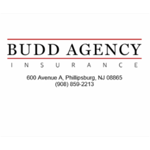 Budd Agency Inc.'s logo