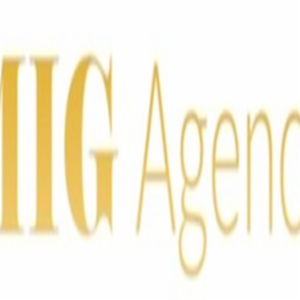MIG Agency LLC