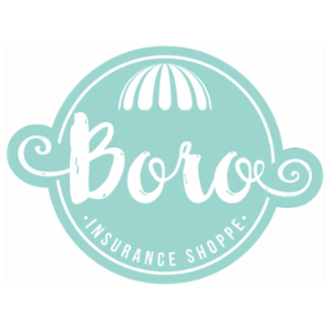 The Boro Insurance Shoppe Inc